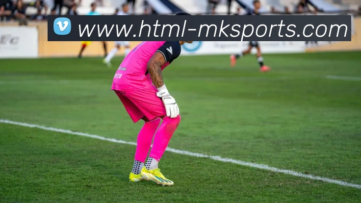 体育下注APP 封面图