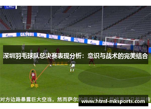 深圳羽毛球队总决赛表现分析：意识与战术的完美结合